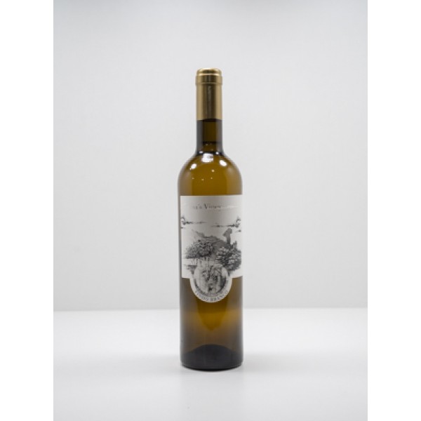 White Wine - Faria's Vineyard